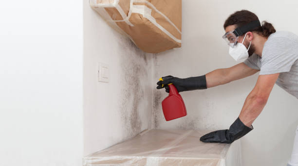 Professional Commercial Mold Remediation technician working in Midland, WA