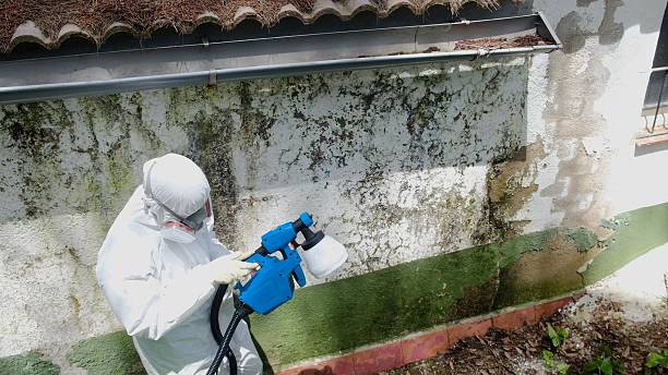 Top rated local Commercial Mold Remediation specialists in Midland, WA